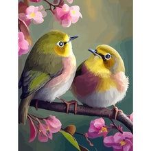 Load image into Gallery viewer, Coloring Birds Kits - 30x40cm