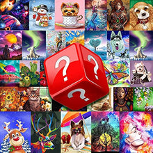 Load image into Gallery viewer, Abstract Collection Blind Box Mystery Diamond Painting Kits