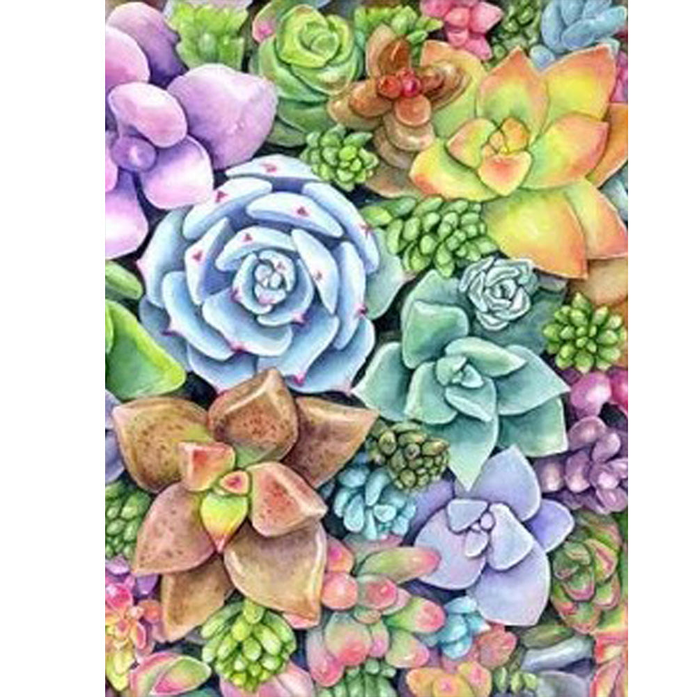 succulent diamond art Succulent Plants Diamond Painting 30x40cm ADP9685