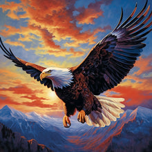 Load image into Gallery viewer, Eagle Fly Over The Mountain - Large Size 40x40cm/15.7x15.7Inches
