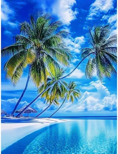 Beach Scene With Palm Trees And Clear Blue Sky