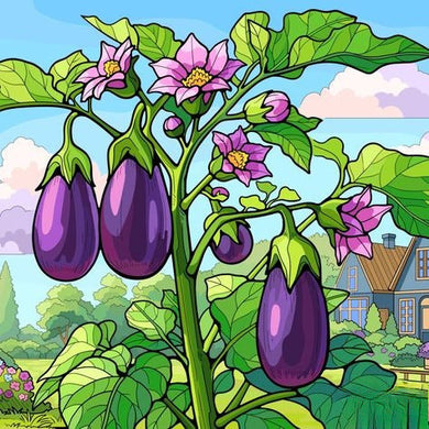 An Eggplant Plant With Purple Fruits And Pink Flowers