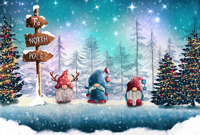 Snow Christmas Gnome Poster Diamond Painting 30x40cm