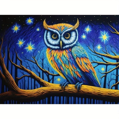 Acrylic Painting Kit Bird Owl - 40x30cm