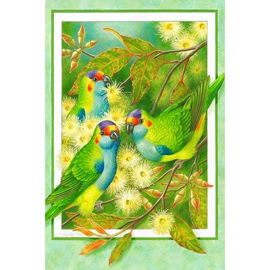Birds - 40x60cm - Diamond Painting