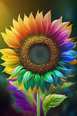 Colorful Sunflower 12 X 16 Inch ADP10003