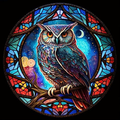 Animal Owl Diamond Painting Kits for Adults 30x30cm/11.81x11.81in ADP9943