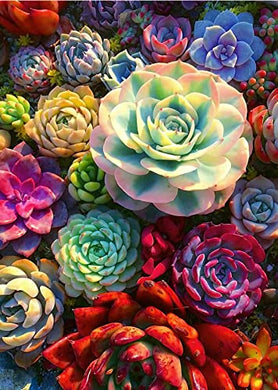 Succulents Diamond Art Painting Kits for Adults 12x16inch ADP9926