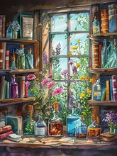Load image into Gallery viewer, Illustration of a window with flowers and shelves filled with books and bottles.
