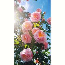 Load image into Gallery viewer, Large Diamond Painting Rose Flower 40x70cm/15.7x27.6in

