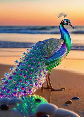 Peacock on the Beach - 12x16inch