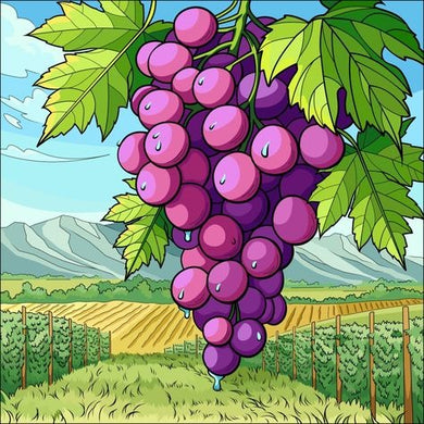 Cartoon grapes diamond painting with vineyard background ¨C fun fruit DIY wall art