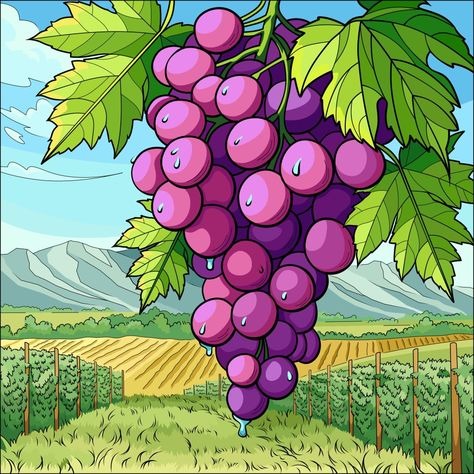 Cartoon grapes diamond painting with vineyard background ¨C fun fruit DIY wall art