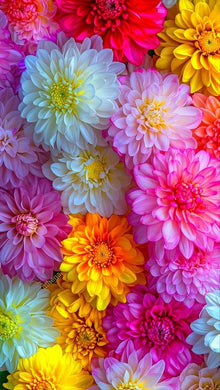 Pink, Yellow, and White Colorful Flowers Glitter Mosaic Kit, handmade floral wall d¨¦cor for vibrant home decoration