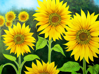 Sunflower 30x40cm/11.8x15.7in ADP9834
