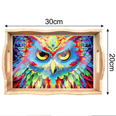 New DIY Diamond Painting Owl Wooden Tray Kit