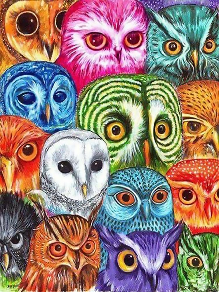 Wonder Owl - Diamond Painting Kits