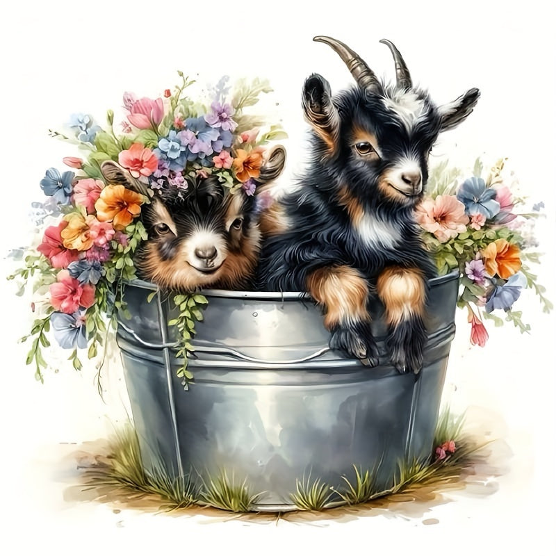 Two Sheep In A Barrel