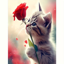 Load image into Gallery viewer, Best Diamond Art Kits - Rose Cat - 30x40cm/12x16in
