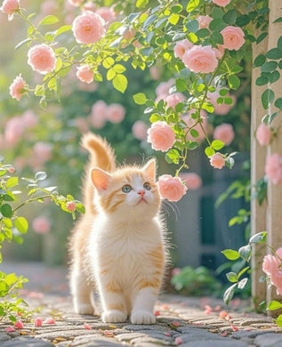 Orange tabby cat in pink rose garden diamond painting on flower wall decor