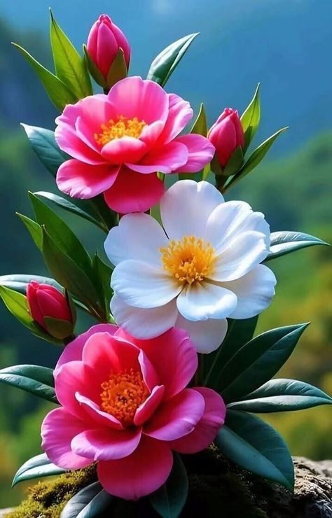 Three pink and white flowers with green leaves against a blu diamond painting with artistic design