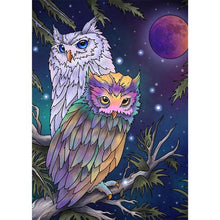 Load image into Gallery viewer, Diy Diamond Painting Owl
