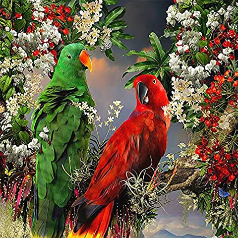 5D Diamond Painting Kits Birds Parrot ADP8575