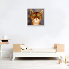 Load image into Gallery viewer, Cat Diamond Painting 5D Kit cats
