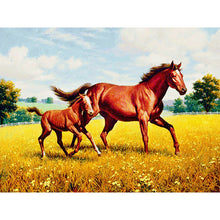 Load image into Gallery viewer, Two Horses Are Living Room Decorative Diamond Paintings
