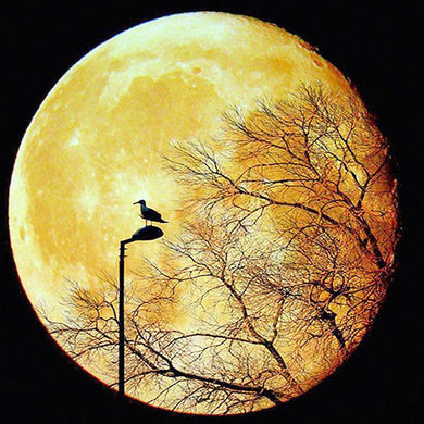 5D Diamond Painting Moonlight Landscape Tree