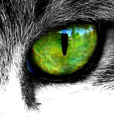 Diamond Painting Cat Eyes