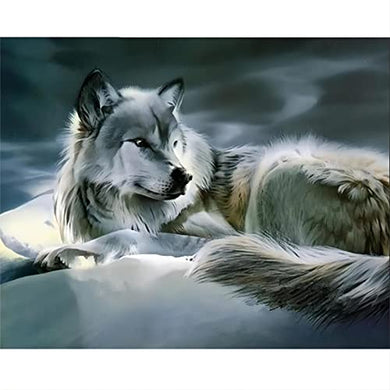 Square Diamond Wolf Painting Kit Home Decor-30x40cm