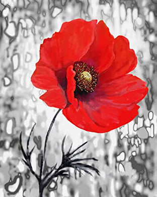 Poppy Red Flowers Diamond Art ADP9164