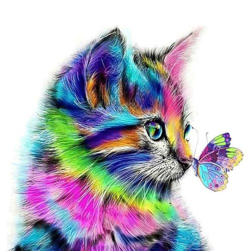Diamond Art Painting Colorful Cat And Butterfly