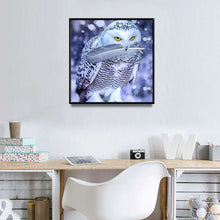 Load image into Gallery viewer, 5D Diamond Painting Animal Owl Diamond Embroidery
