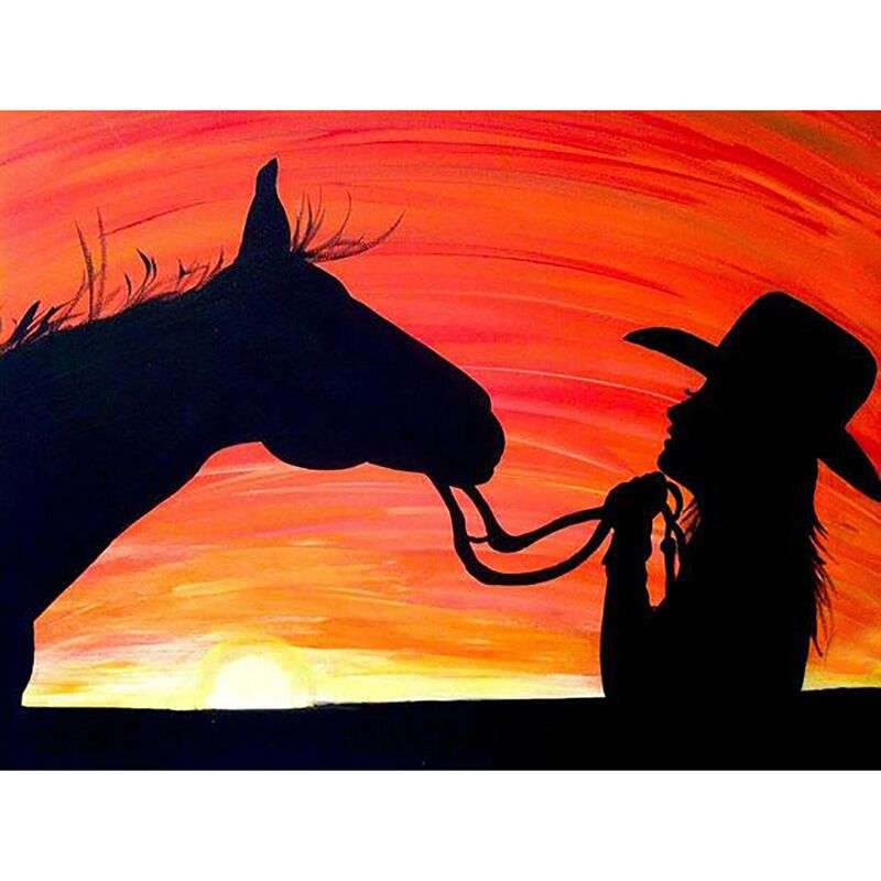 5D Diamond Painting Sunset Old Man And Horse