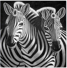 Load image into Gallery viewer, Zebra-5D Diamond Painting Kits-30x30cm
