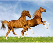 Load image into Gallery viewer, Horse-5D Diamond Painting Kits-40x30cm
