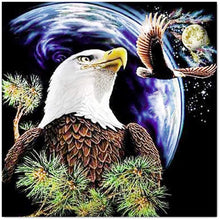 Load image into Gallery viewer, Eagle-5D Diamond Painting Kits-30x30cm
