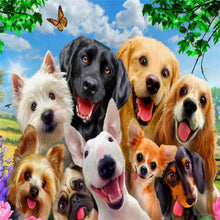 Load image into Gallery viewer, Animal Dog-5D Diamond Painting Kits-30x30cm
