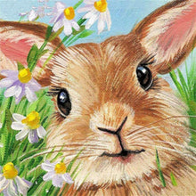 Load image into Gallery viewer, Rabbit-5D Diamond Painting Kits-30x30cm
