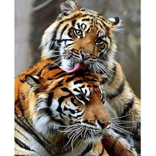 Load image into Gallery viewer, Tiger-5D Diamond Painting Kits-30x40cm
