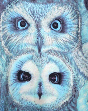 Owl-5D Diamond Painting Kits-30x40cm