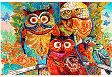 Load image into Gallery viewer, Owl-5D Diamond Painting Kits-40x30cm
