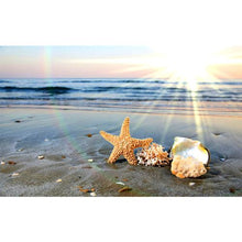 Load image into Gallery viewer, Sea Star Shell Beach
