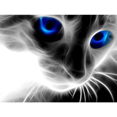 Diamond Painting Cat With Blue Eyes