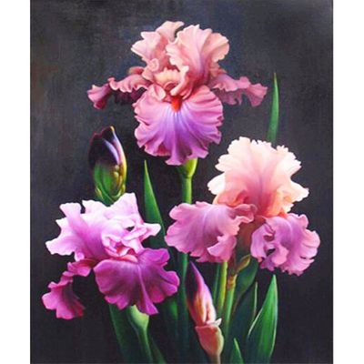 Diamond Painting Kits Pink Iris