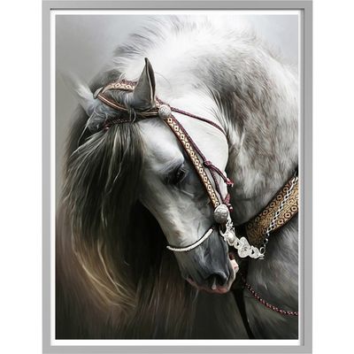 Diamond Painting Horse White