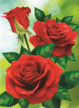 Load image into Gallery viewer, Diamond Painting Kits Roses
