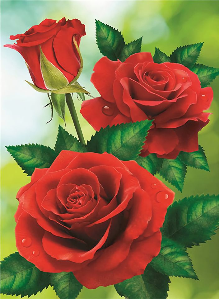 Diamond Painting Kits Roses